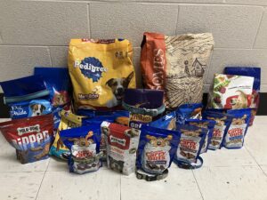 Assorted dog food and treat packages Assorted dog food and treat packages