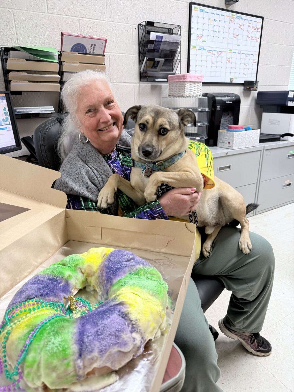Woman holding dog with colorful king cake